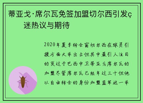 蒂亚戈·席尔瓦免签加盟切尔西引发球迷热议与期待