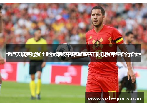 卡迪夫城英冠赛季起伏难破中游桎梏冲击附加赛希望渐行渐远 卡迪夫城英冠赛季起伏难破中游桎梏冲击附加赛希望渐行渐远