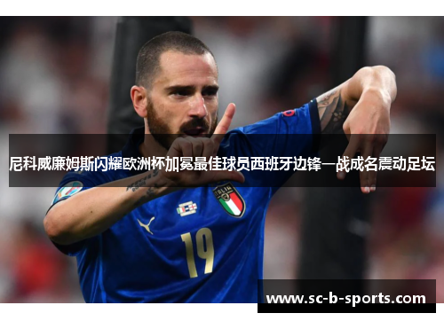 尼科威廉姆斯闪耀欧洲杯加冕最佳球员西班牙边锋一战成名震动足坛